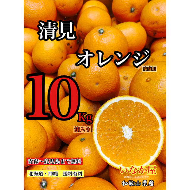 ‼️タイムセール ‼️清見オレンジ　家庭用　セール　早い者勝ち　お得品 食品/飲料/酒の食品(フルーツ)の商品写真