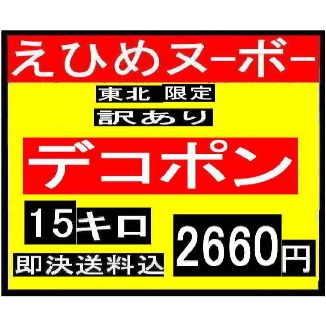 @jqpopo様専用　えひめヌーボー　訳あり　デコポン　15キロ 食品/飲料/酒の食品(フルーツ)の商品写真