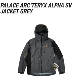 アークテリクス(ARC'TERYX)のPALACE Arc'teryx Alpha SV Gray(マウンテンパーカー)