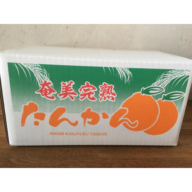 南国　奄美大島産　タンカン10kg 食品/飲料/酒の食品(フルーツ)の商品写真