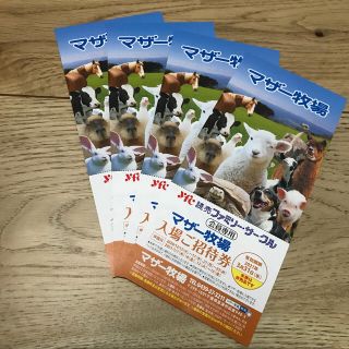 マザー牧場　3枚(遊園地/テーマパーク)