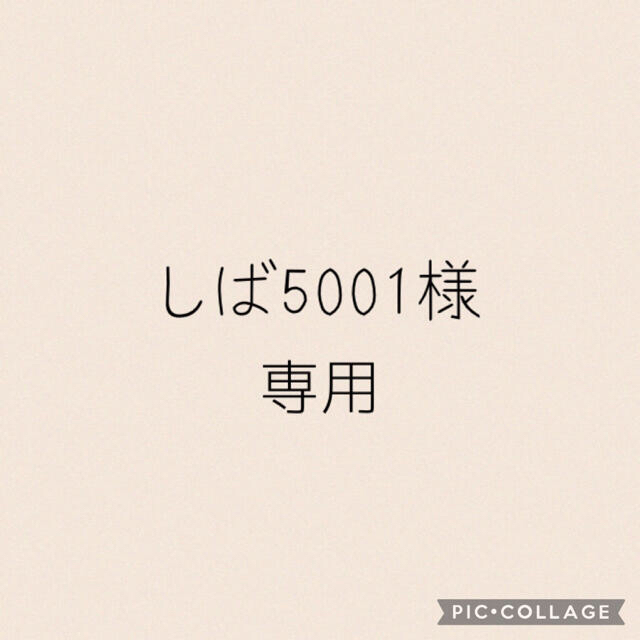 しば5001様　専用 ハンドメイドのキッズ/ベビー(おもちゃ/雑貨)の商品写真