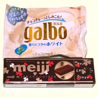 メイジ(明治)のミルクチョコレート　ガルボ(菓子/デザート)