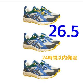 アシックス(asics)のASICS x ballaholic  GEL QUANTUM 180 26.5(バスケットボール)