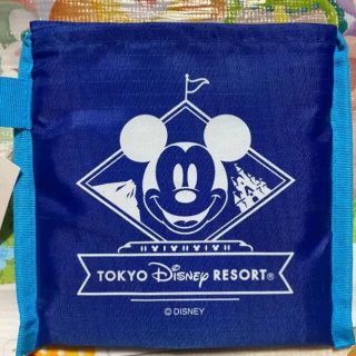 ディズニー(Disney)のディズニーリゾート限定　☆ エコバッグ(エコバッグ)