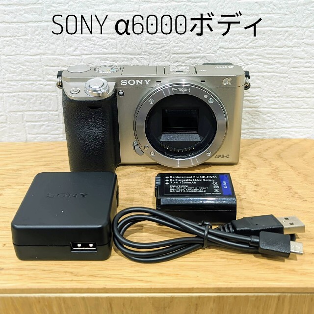 SEL16F28SONY α6000ボディ シルバー/ミラーレス一眼・品