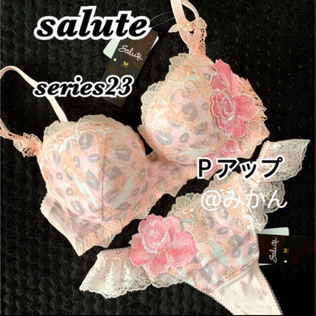 Wacoal☘️salute23グループＰアップブラソングセット