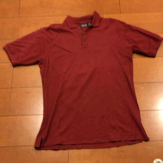 patagonia(パタゴニア)のパタゴニア　ポロシャツ　美品 メンズのトップス(ポロシャツ)の商品写真