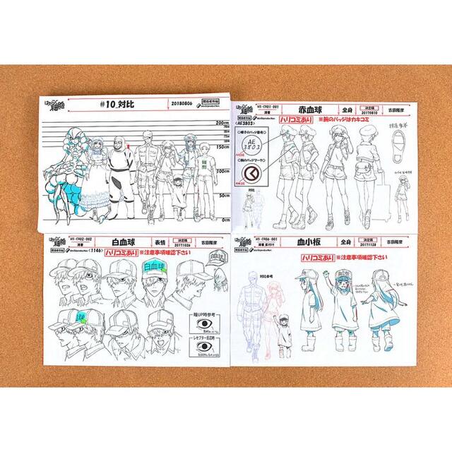 はたらく細胞 設定資料 制作資料 C97