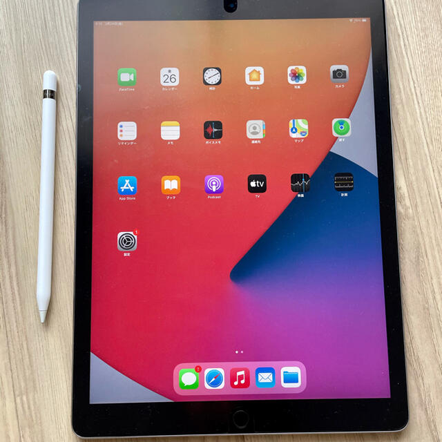 iPad Pro 12.9インチ　2世代　512GB Apple Pencil付