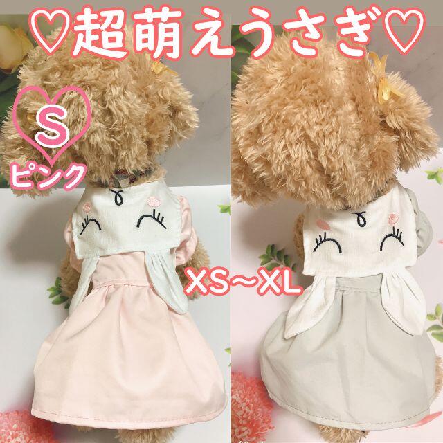S 新作 可愛いうさぎワンピース スカート 春夏服 犬服 犬猫服 洋服 わんこ服の通販 By ベビー エンジェル S Shop ラクマ S 新作 可愛いうさぎワンピース スカート 春夏服 犬服 犬猫服 洋服 わんこ服の通販 By ベビー エンジェル S Shop ラクマ
