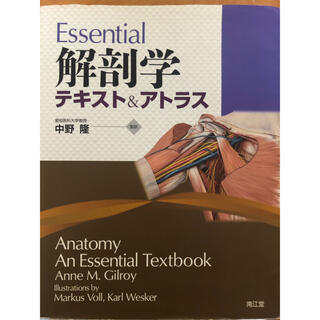 Ｅｓｓｅｎｔｉａｌ解剖学 テキスト＆アトラス(健康/医学)