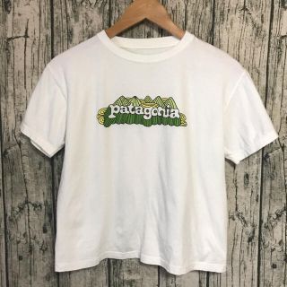 パタゴニア(patagonia)のパタゴニア　オーガニックコットン　Tシャツ(Tシャツ(半袖/袖なし))