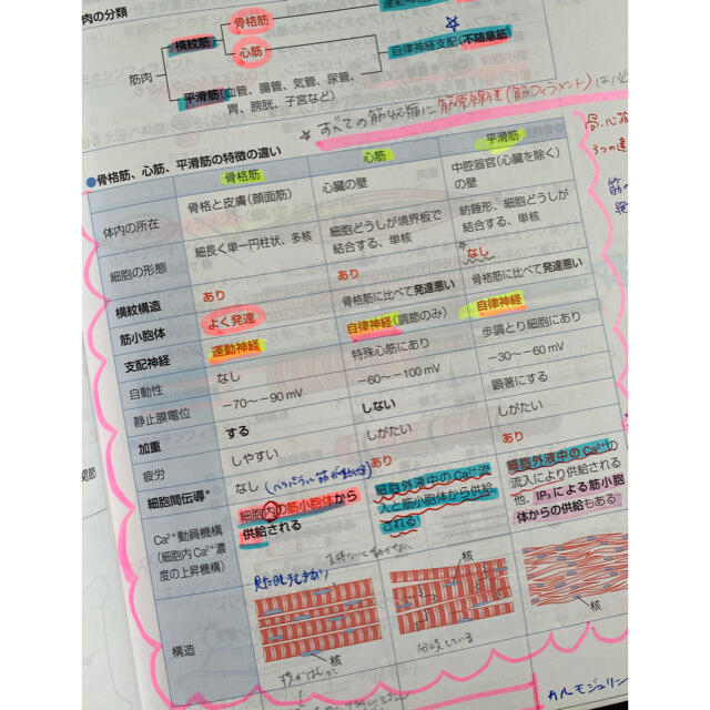 ⭐️専用⭐️2018年 青本 7冊セット