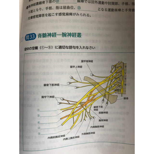 未使用品　解いてわかる解剖生理学 問題集　看護師国家試験 エンタメ/ホビーの本(資格/検定)の商品写真