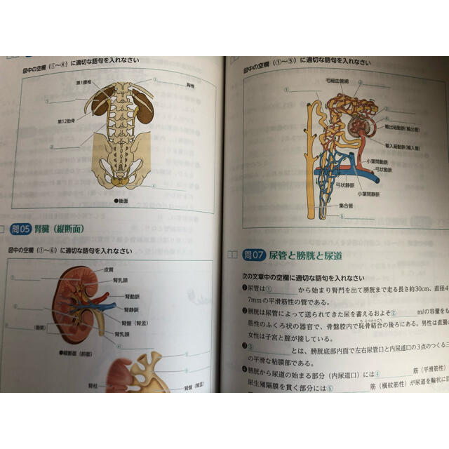 未使用品　解いてわかる解剖生理学 問題集　看護師国家試験 エンタメ/ホビーの本(資格/検定)の商品写真