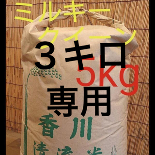 新米ミルキークイーン精米３キロ(米/穀物)