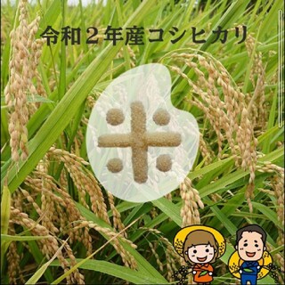 SKY様専用です😊コシヒカリ24kg精米(米/穀物)