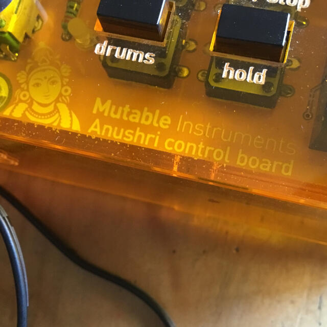 Mutable Instruments Anushri アナログシンセサイザー 1