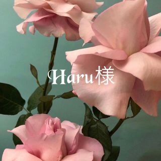 Haru様専用(ロングワンピース/マキシワンピース)