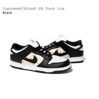 ナイキ(NIKE)の★SUPREME NIKE SB DUNK LOW US10 28.0cm 新品(スニーカー)