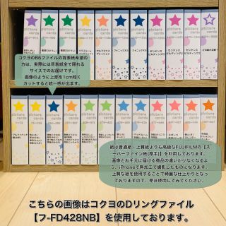 ⭐️期間限定　値下げ❣️⭐️ペッピーキッズ　ピクチャーカードファイル！