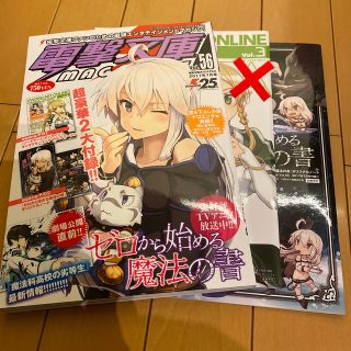 アスキーメディアワークス(アスキー・メディアワークス)のお値下げしました！電撃文庫 MAGAZINE (マガジン) 2017年 07月号(アート/エンタメ/ホビー)