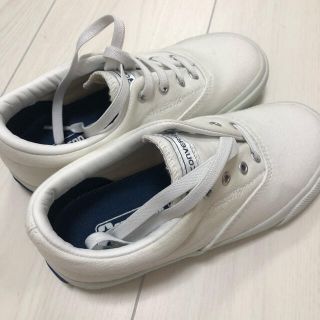 コンバース(CONVERSE)のコンバース シューズ 19 新品(スニーカー)