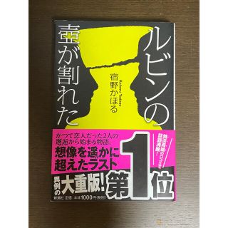 ルビンの壺が割れた(その他)