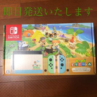 ニンテンドースイッチ(Nintendo Switch)のあつまれどうぶつの森セット Nintendo Switch スイッチ (家庭用ゲーム機本体)