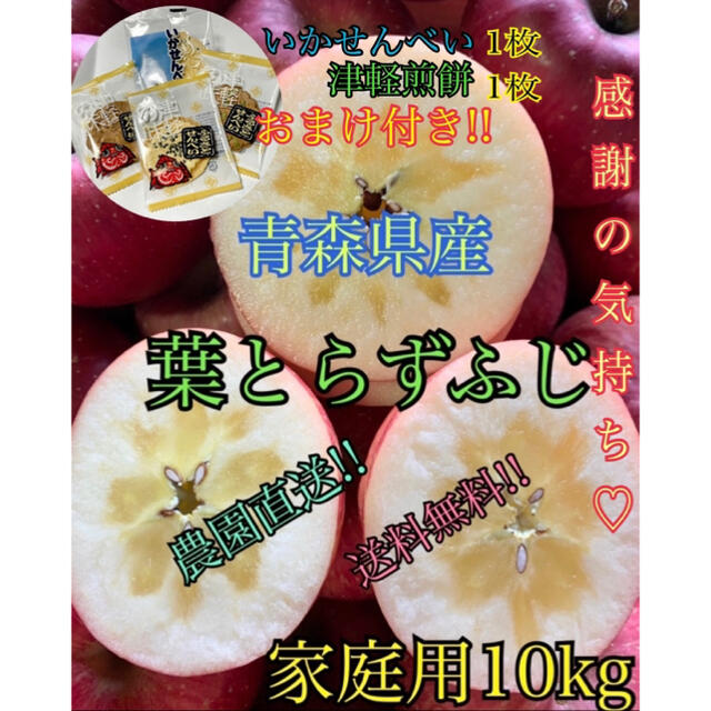 りんご おまけ付き!! 10kg前後 家庭用 葉とらずふじ 農園直送!! 食品/飲料/酒の食品(フルーツ)の商品写真