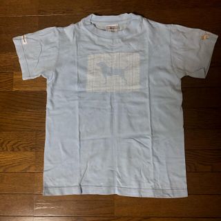 ラブラドールリトリーバー(Labrador Retriever)のラブラドールレトリバー  半袖Tシャツブルー  サイズS   (Tシャツ(半袖/袖なし))