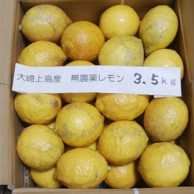 広島県大崎上島無農薬レモン　3.5kg 食品/飲料/酒の食品(フルーツ)の商品写真