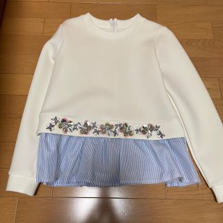 チェスティ(Chesty)のトップス(カットソー(長袖/七分))