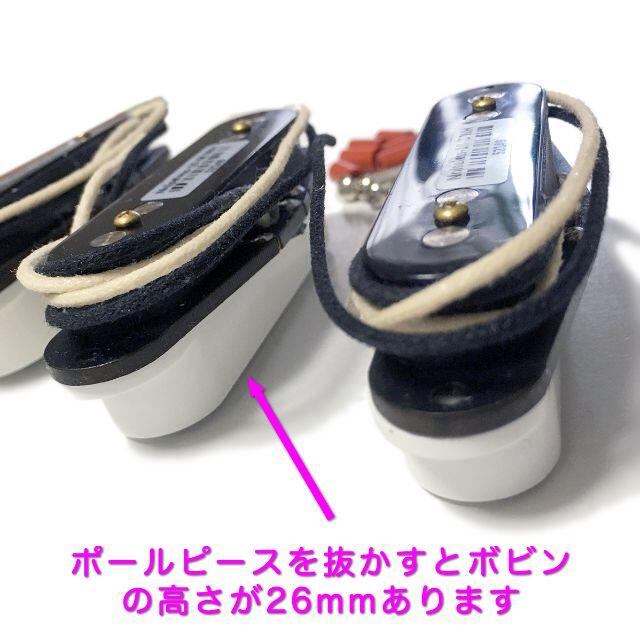 Eric Custom Noiseless-10セット　ホットノイズレスの代用に