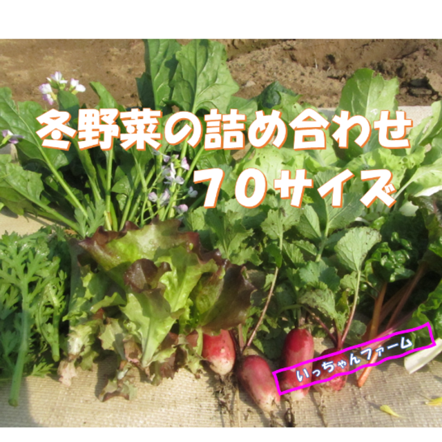 もうすぐ春だね～冬野菜詰め合わせ　アウトレット価格にて　７０サイズ　 食品/飲料/酒の食品(野菜)の商品写真