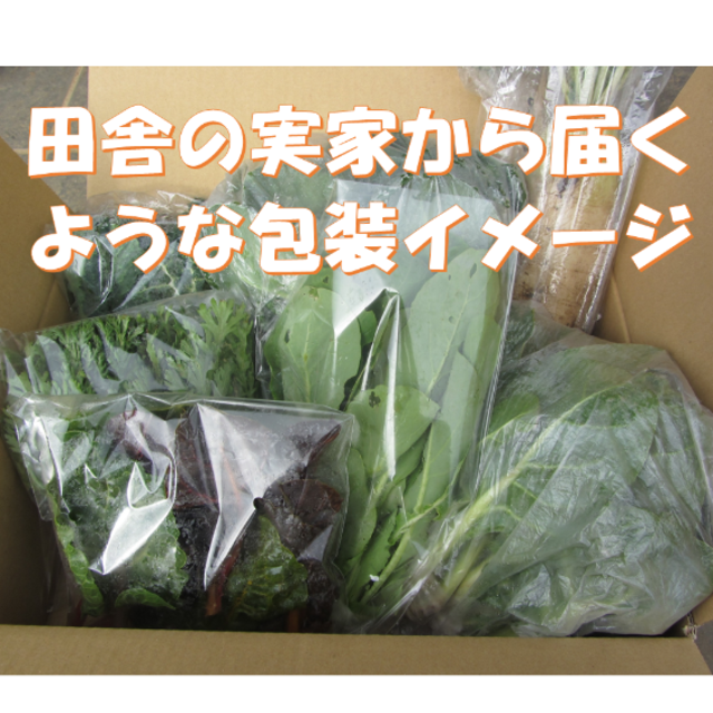 もうすぐ春だね～冬野菜詰め合わせ　アウトレット価格にて　７０サイズ　 食品/飲料/酒の食品(野菜)の商品写真