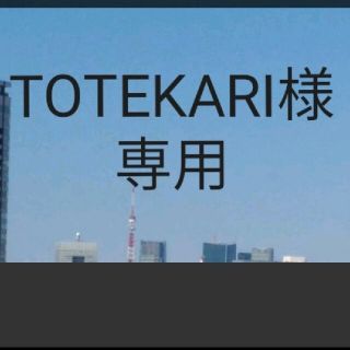 TOTEKARI様専用(化粧水/ローション)