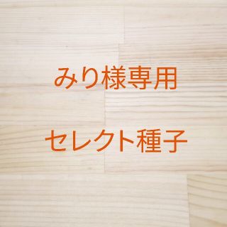 みり様専用　セレクト種子　7袋(野菜)