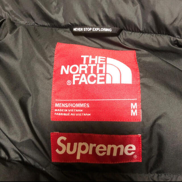 Supreme(シュプリーム)のSupreme North Paper Nuptse Jacket 紙ヌプシ メンズのジャケット/アウター(ダウンジャケット)の商品写真