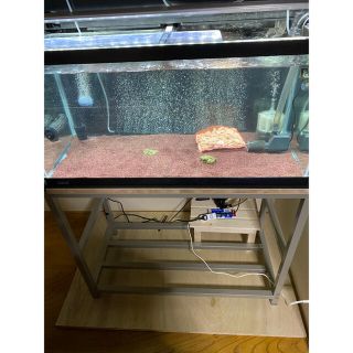 GEX 900 マリーナ 900×450×450 水槽 上部、ポンプ、台 セットの通販 by