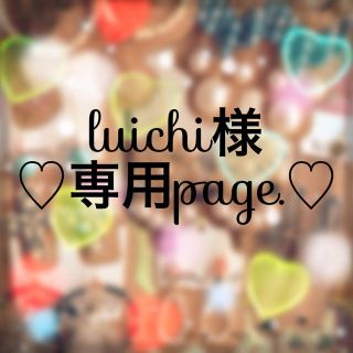 ◇luichi様専用ページ◇(ピアス)