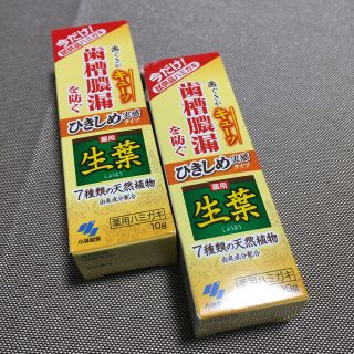 コバヤシセイヤク(小林製薬)の小林製薬　薬用生葉　10g 2本(歯磨き粉)