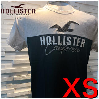 ホリスター(Hollister)の25ホリスター  HOLLISTER  Tシャツ XS 新品 正規品 ロゴ刺繍(Tシャツ/カットソー(半袖/袖なし))