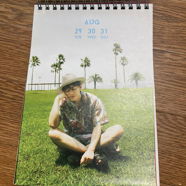 佐藤健 「ほぼ」日めくりカレンダー2017