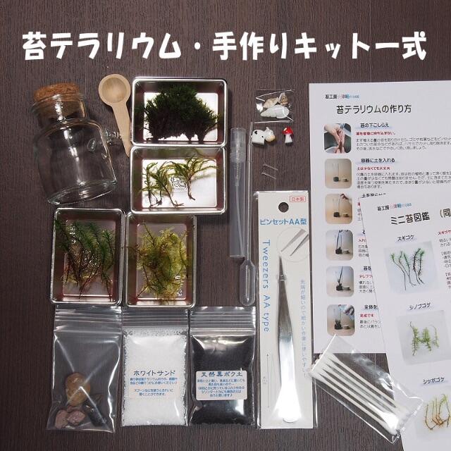 【苔テラリウム・手作りキット一式】スプーン付き容器 ハンドメイドのフラワー/ガーデン(その他)の商品写真