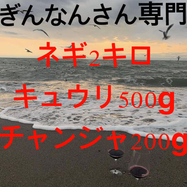 大人気新作 専門ページ 漬物 大人気新作 専門ページ 漬物