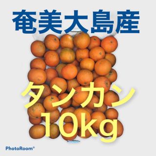 奄美大島産　タンカン10kg(フルーツ)