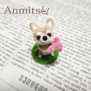 展示用　お花摘んできたよ！わんこ　柴犬(その他)