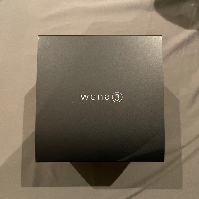 Sony wena3 metal silver